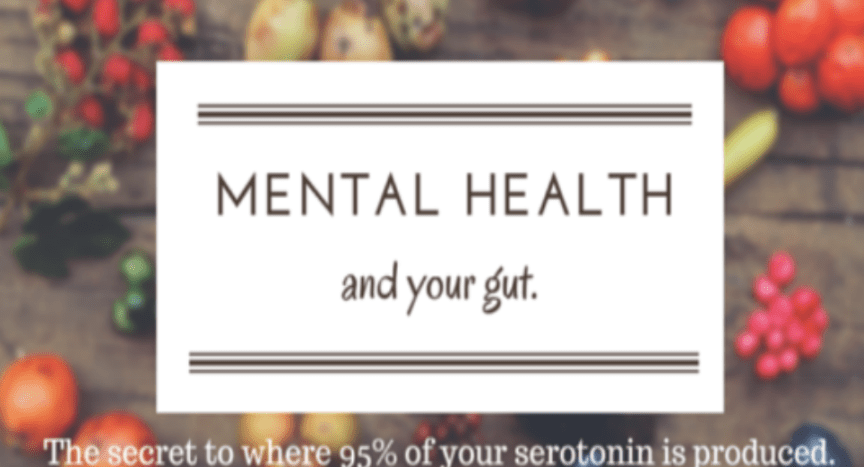 K Therapy Ireland Blog Mental Health Gut Health